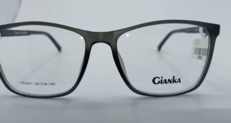 GIANKA TR90 – 3501 GRIS
